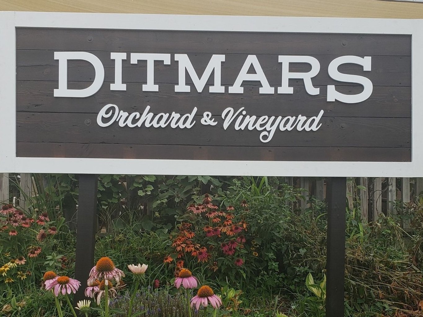 Ditmars Orchard & Vineyard