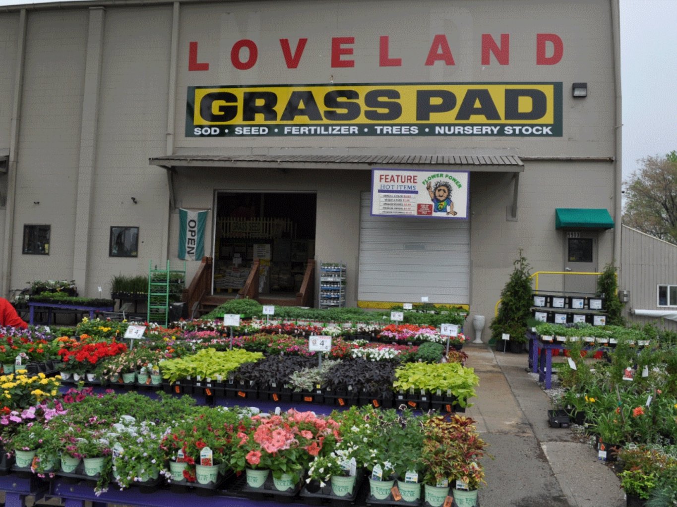 grass-pad