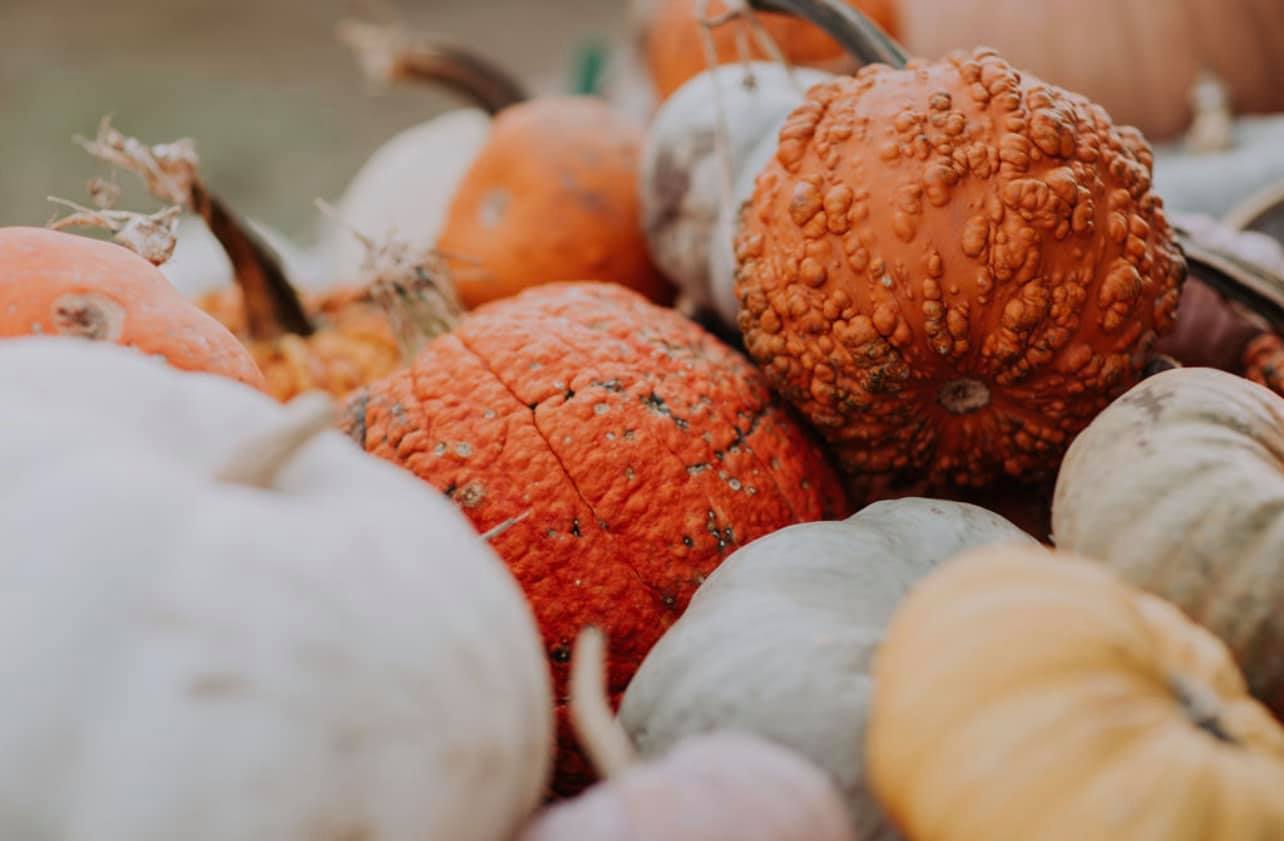 Pumpkin stack at Skinny Bones Pumpkin Patch.