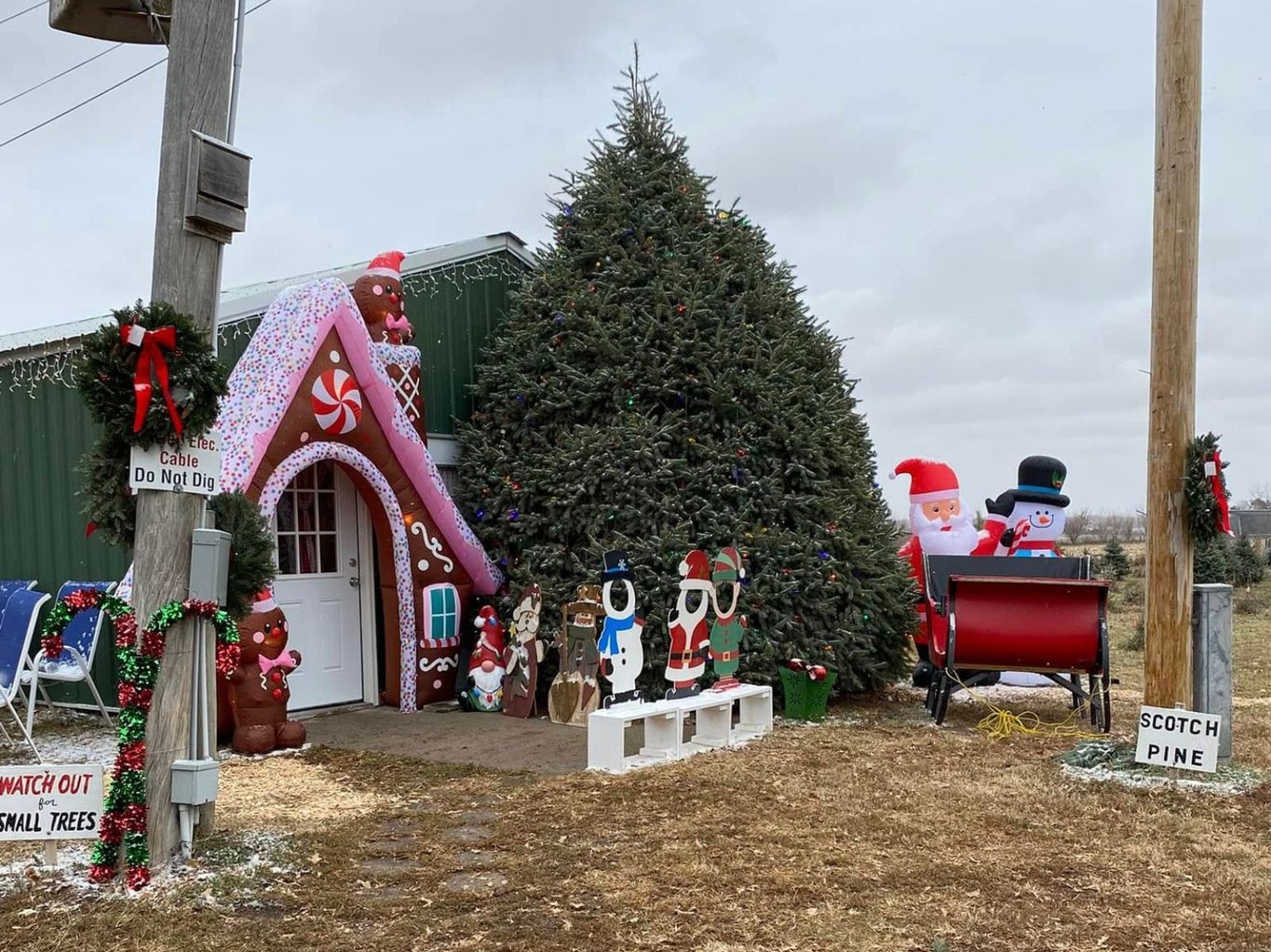 Dougherty's Tree Farm & Craft Shop