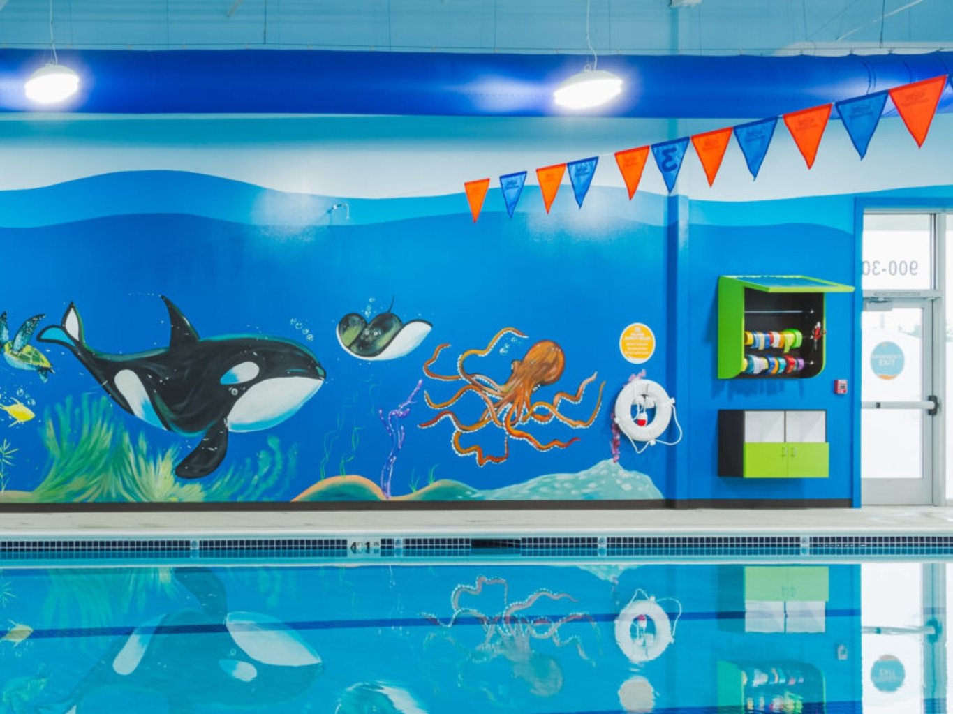 Goldfish Swim School