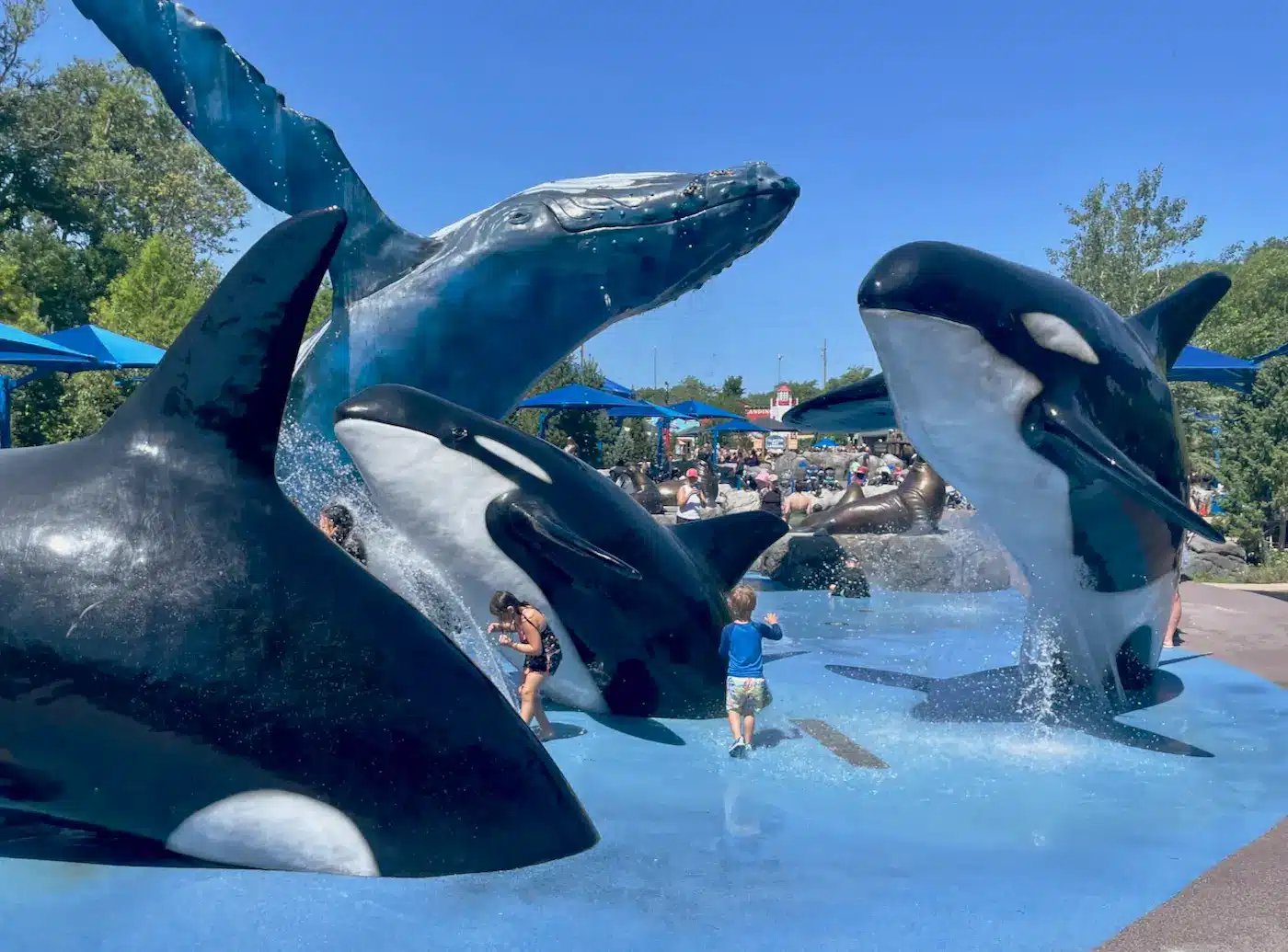 Alaskan Adventure Splash Park