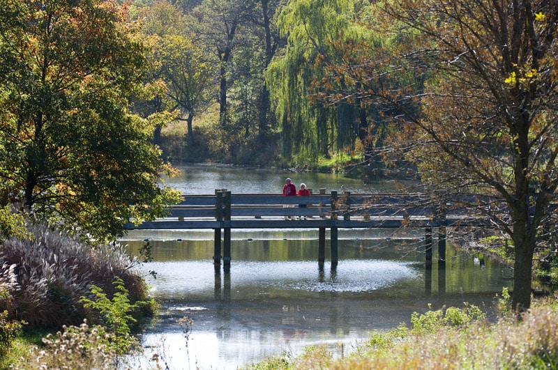 A couple on a Mahoney State Park walking bridge with trees framing the photo . 