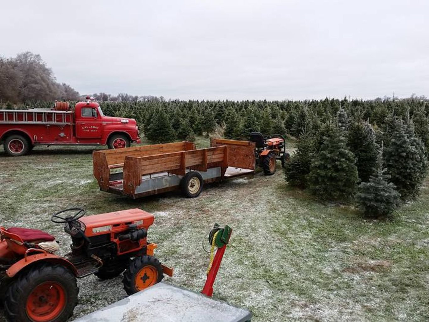 Christmas Tree Farms - Omaha Guide